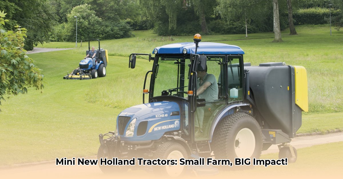 mini-new-holland-tractor